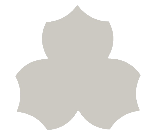 Sari